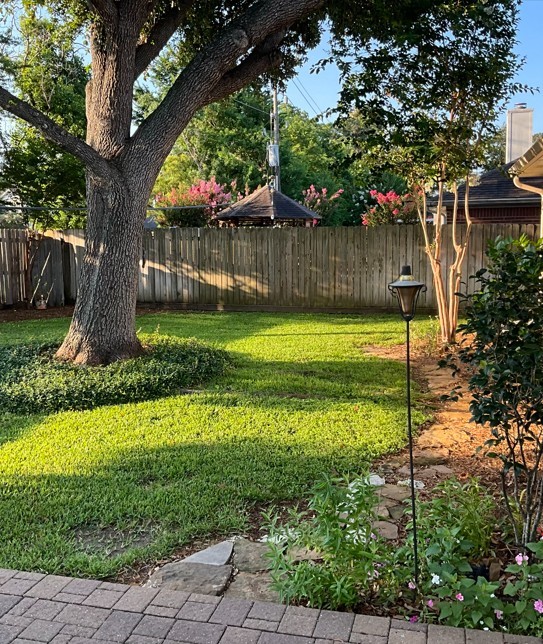 12922 Mills Bend Street Houston, TX 77070 - Photo 7 of 50 a view of a garden with a tree