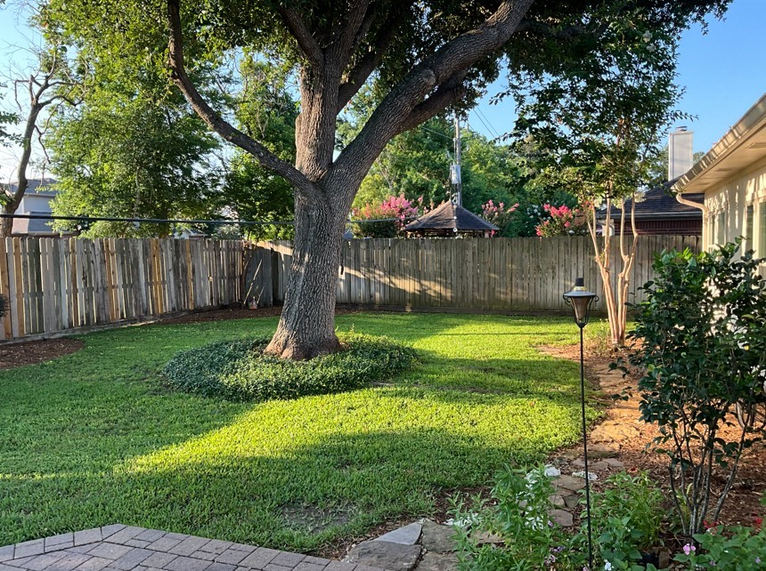 12922 Mills Bend Street Houston, TX 77070 - Photo 8 of 50 a view of a backyard with a tree