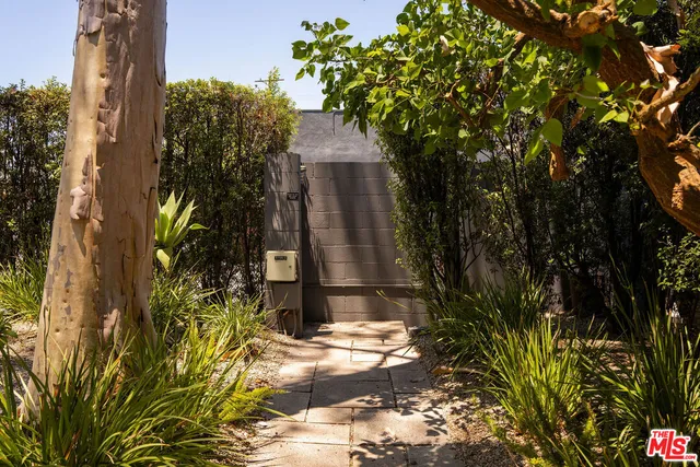 a view of a potted plants next to a yard