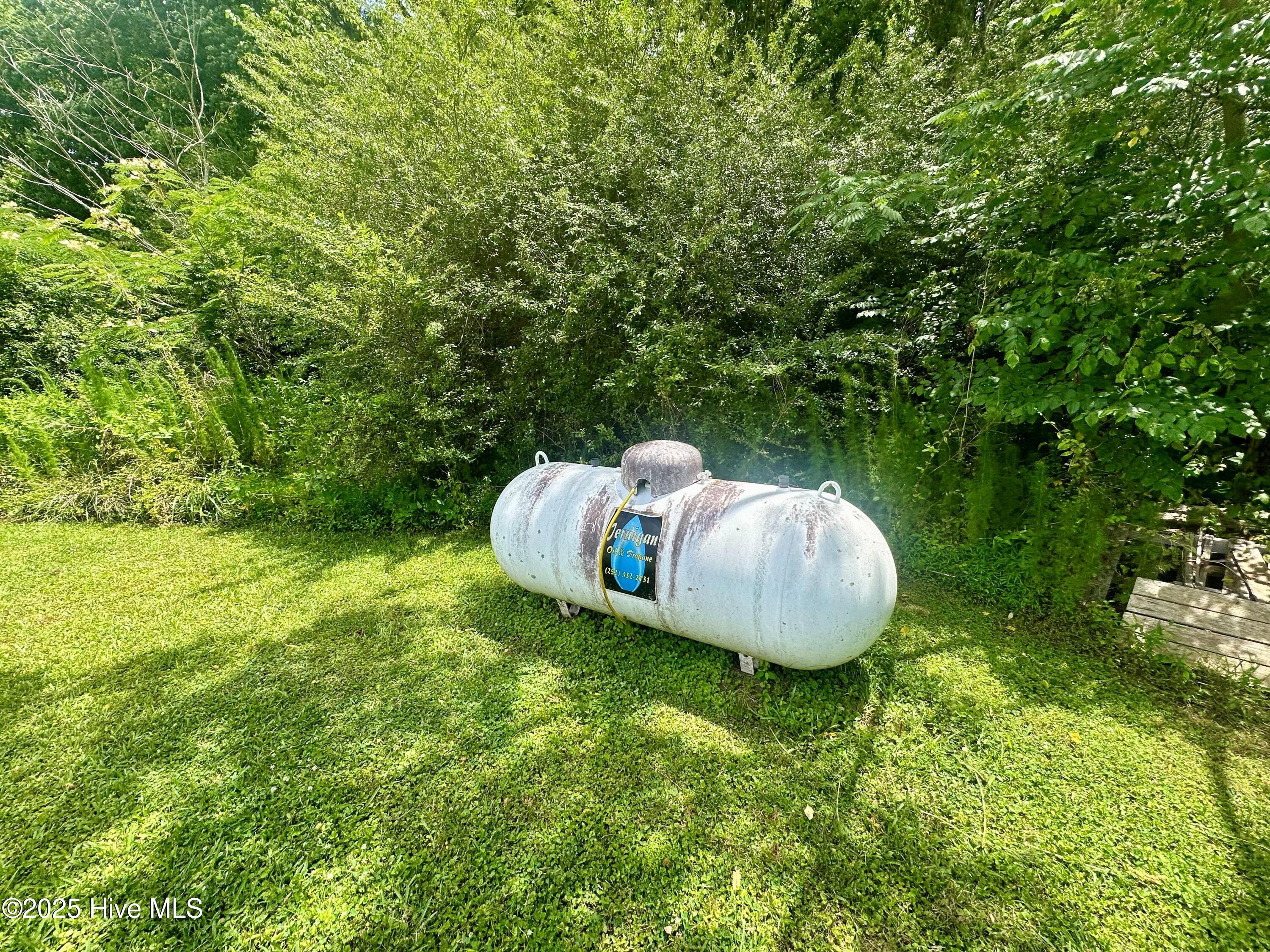 123 Hill Ferry Road Como, NC 27818 - Photo 12 of 39 propane tank