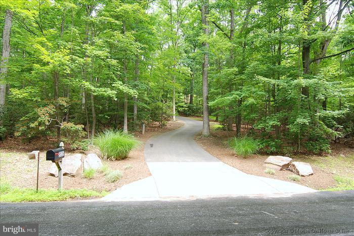 5536 Etzler Road Frederick, MD 21702 - Photo 14 of 30 a view of backyard with green space