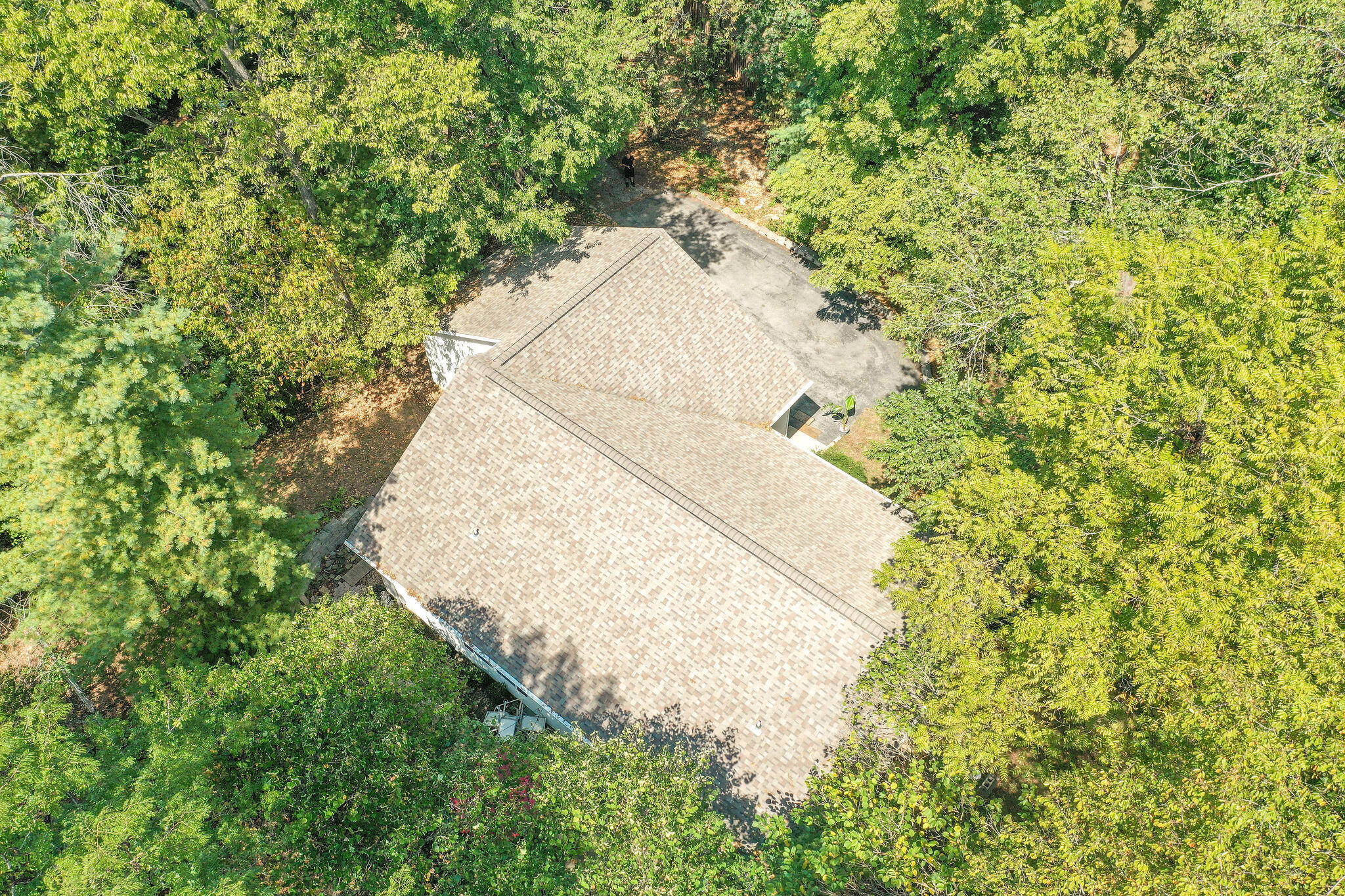 299 River Point Road Hollister, MO 65672 - Photo 26 of 34 Roof