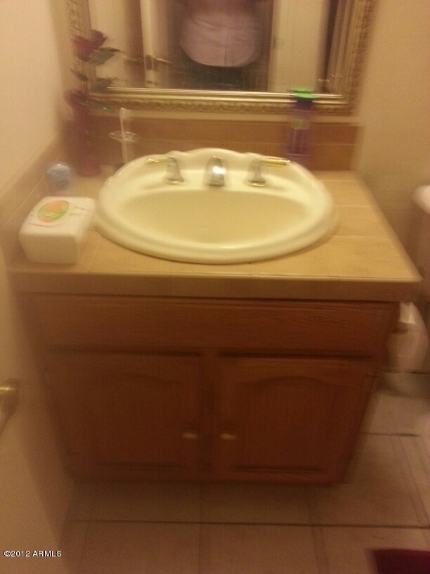 4054 West Palomino Road Phoenix, AZ 85019 - Photo 5 of 6 LADYBATH