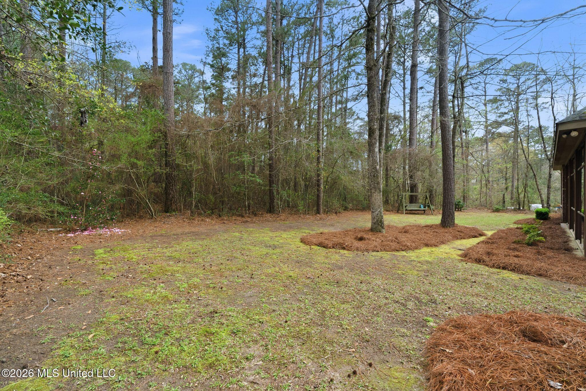 17 Parson's Creek Road Hattiesburg, MS 39402 - Photo 38 of 60 17_Parson's_Creek_Road-30