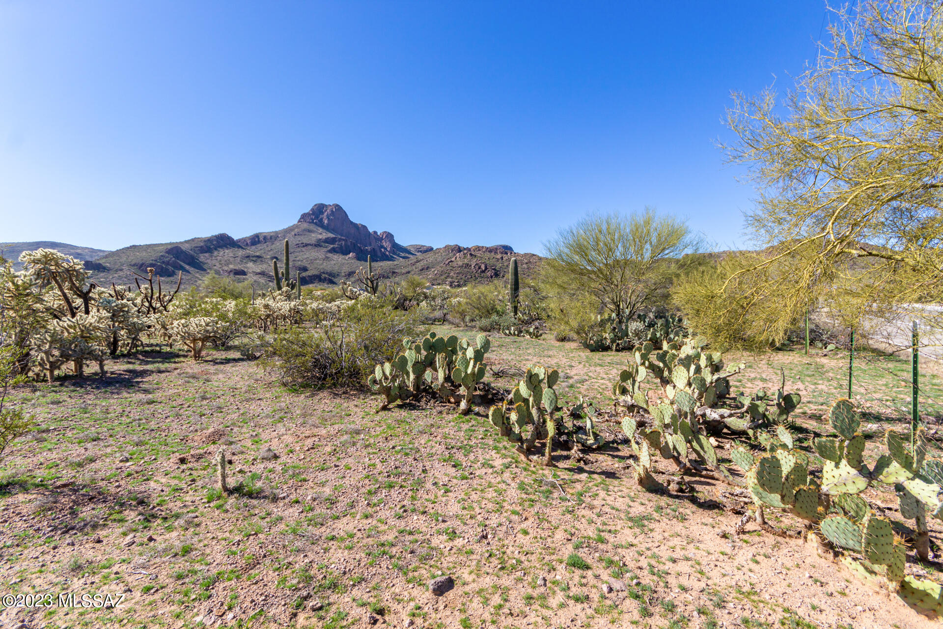 8121 West Pima Farms Road Tucson, AZ 85743 - Photo 23 of 32 Gallery Image 23