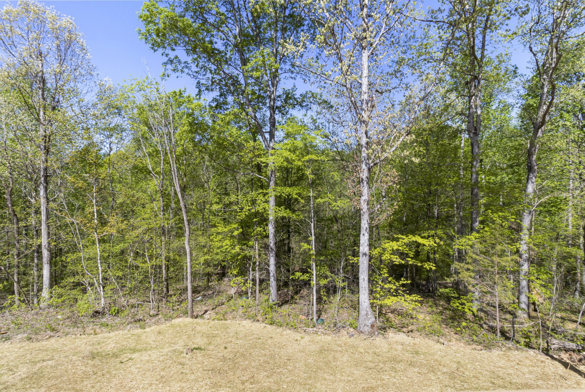 3296 Benton Ridge Road Palmyra, TN 37142 - Photo 38 of 42 Gallery Image 38