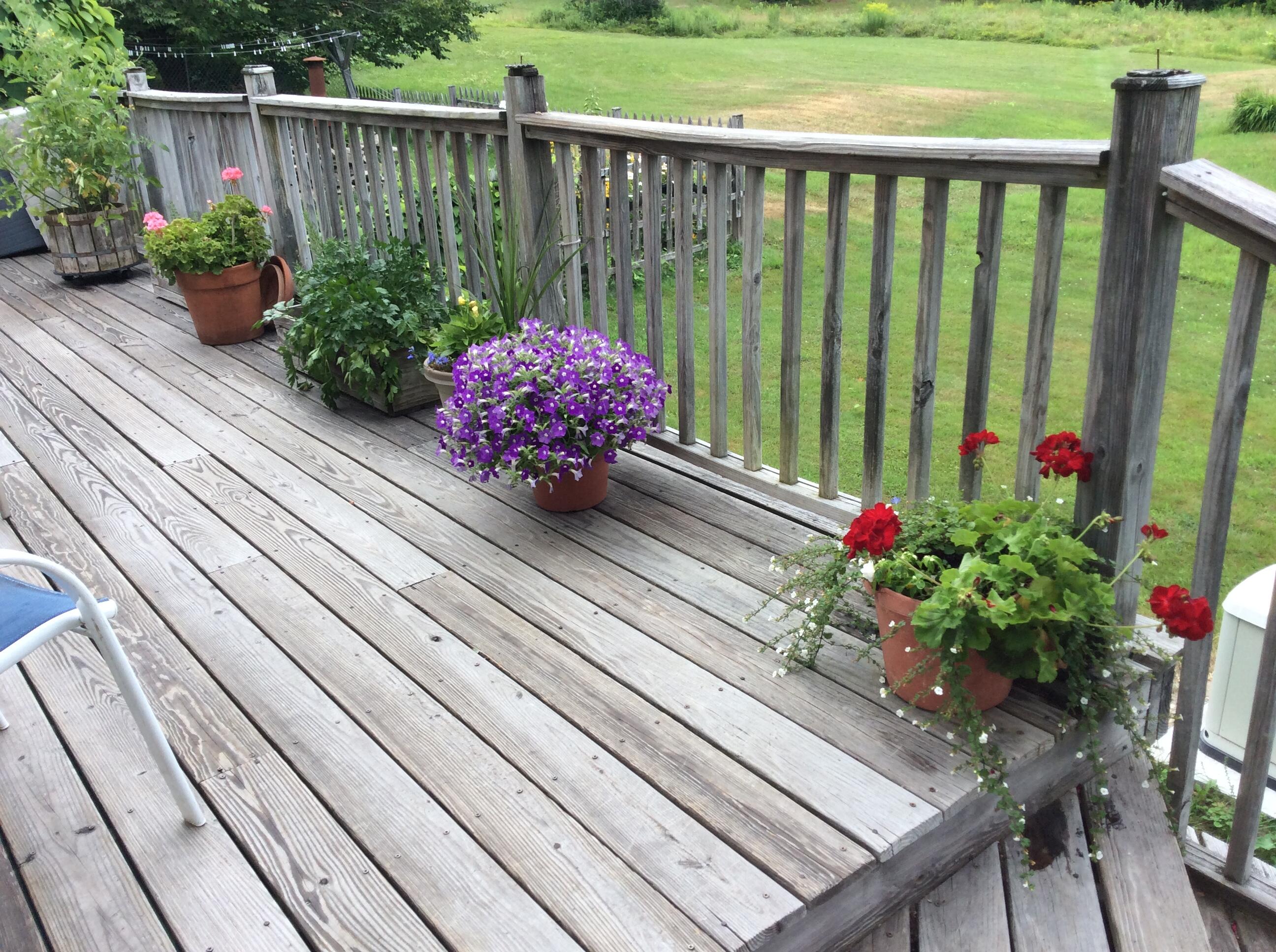 482 Back Road Shapleigh, ME 04076 - Photo 64 of 86 Summer deck