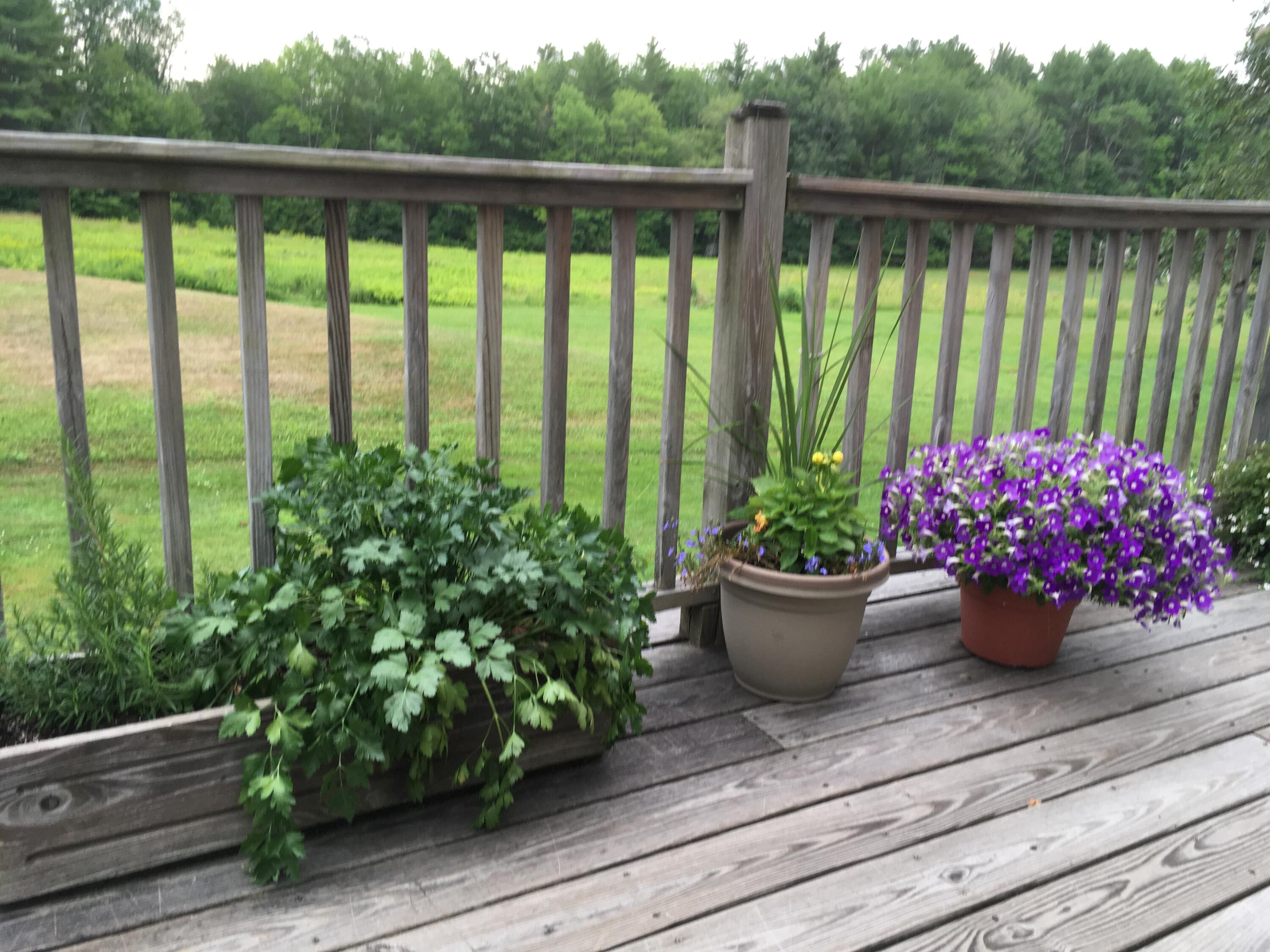 482 Back Road Shapleigh, ME 04076 - Photo 65 of 86 Summer deck 2