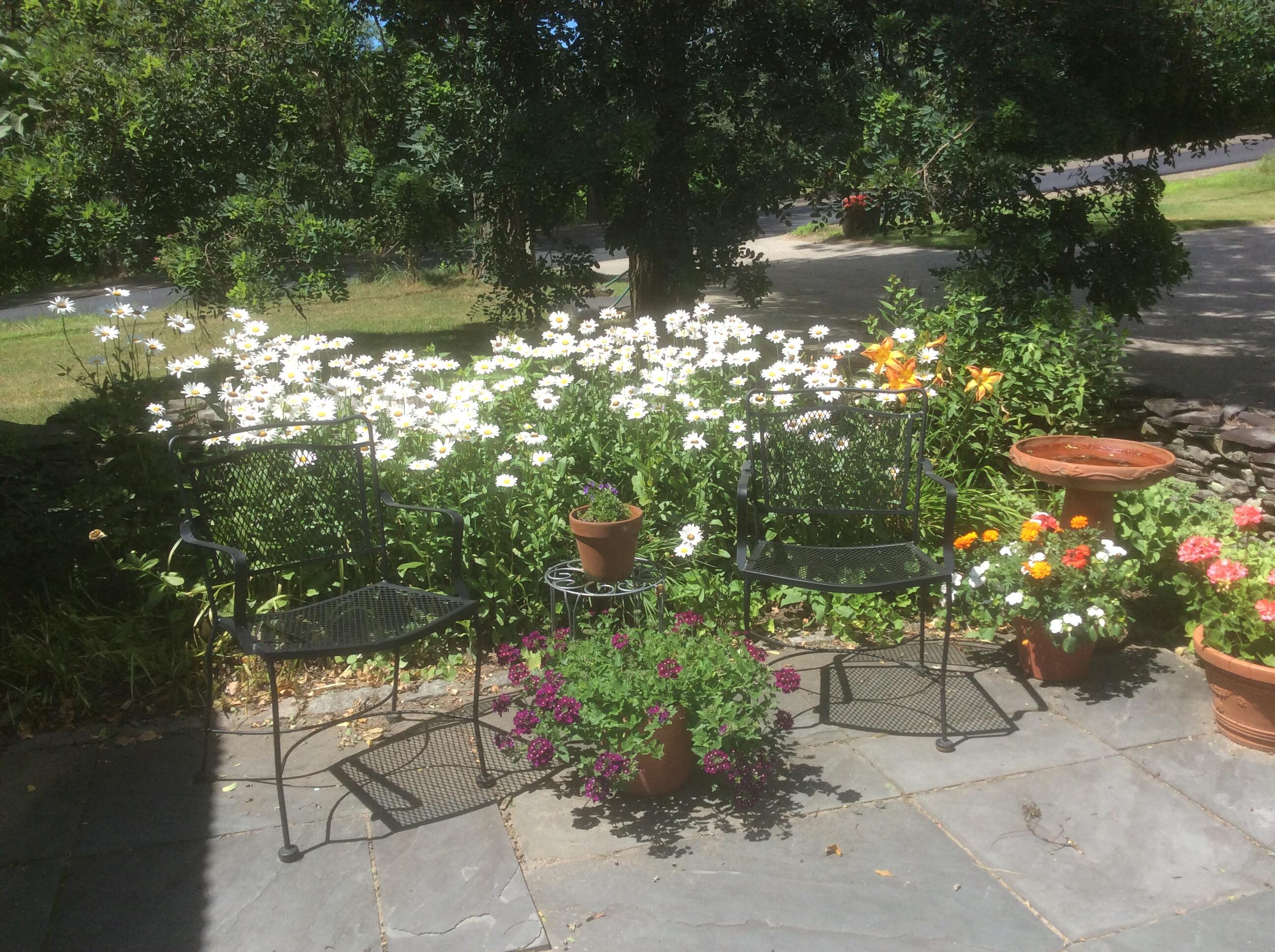 482 Back Road Shapleigh, ME 04076 - Photo 69 of 86 Summer 10