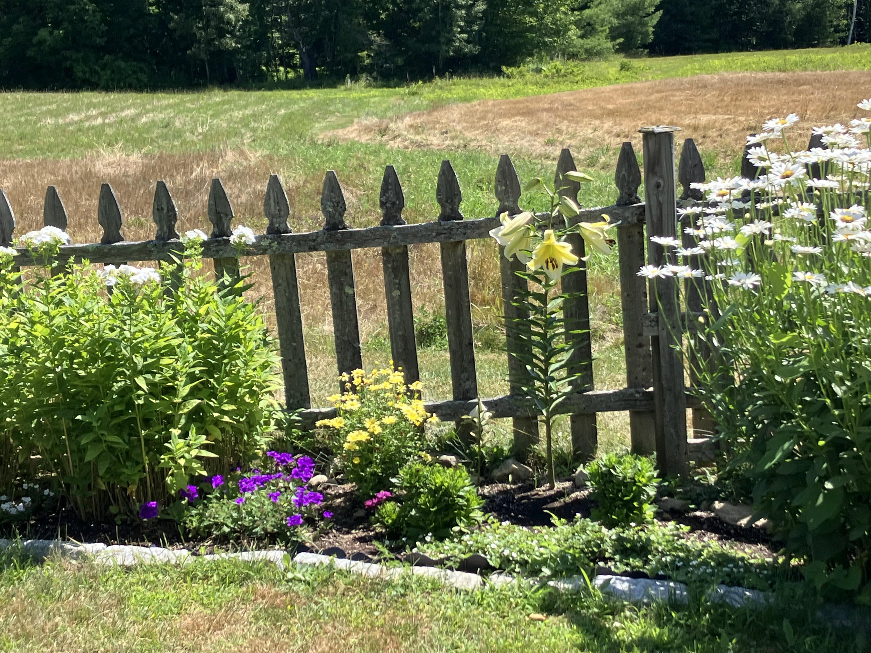 482 Back Road Shapleigh, ME 04076 - Photo 72 of 86 11