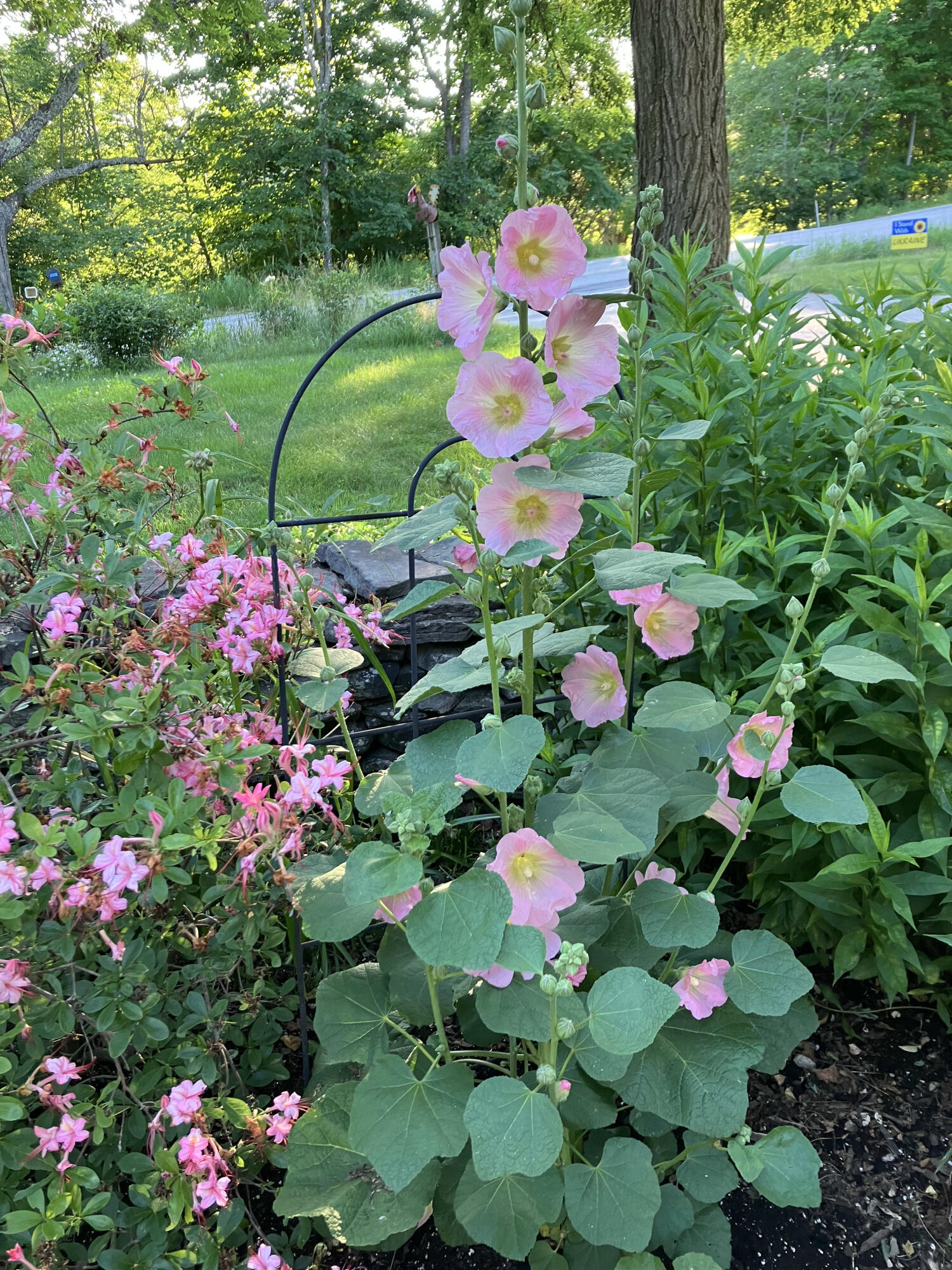 482 Back Road Shapleigh, ME 04076 - Photo 74 of 86 13