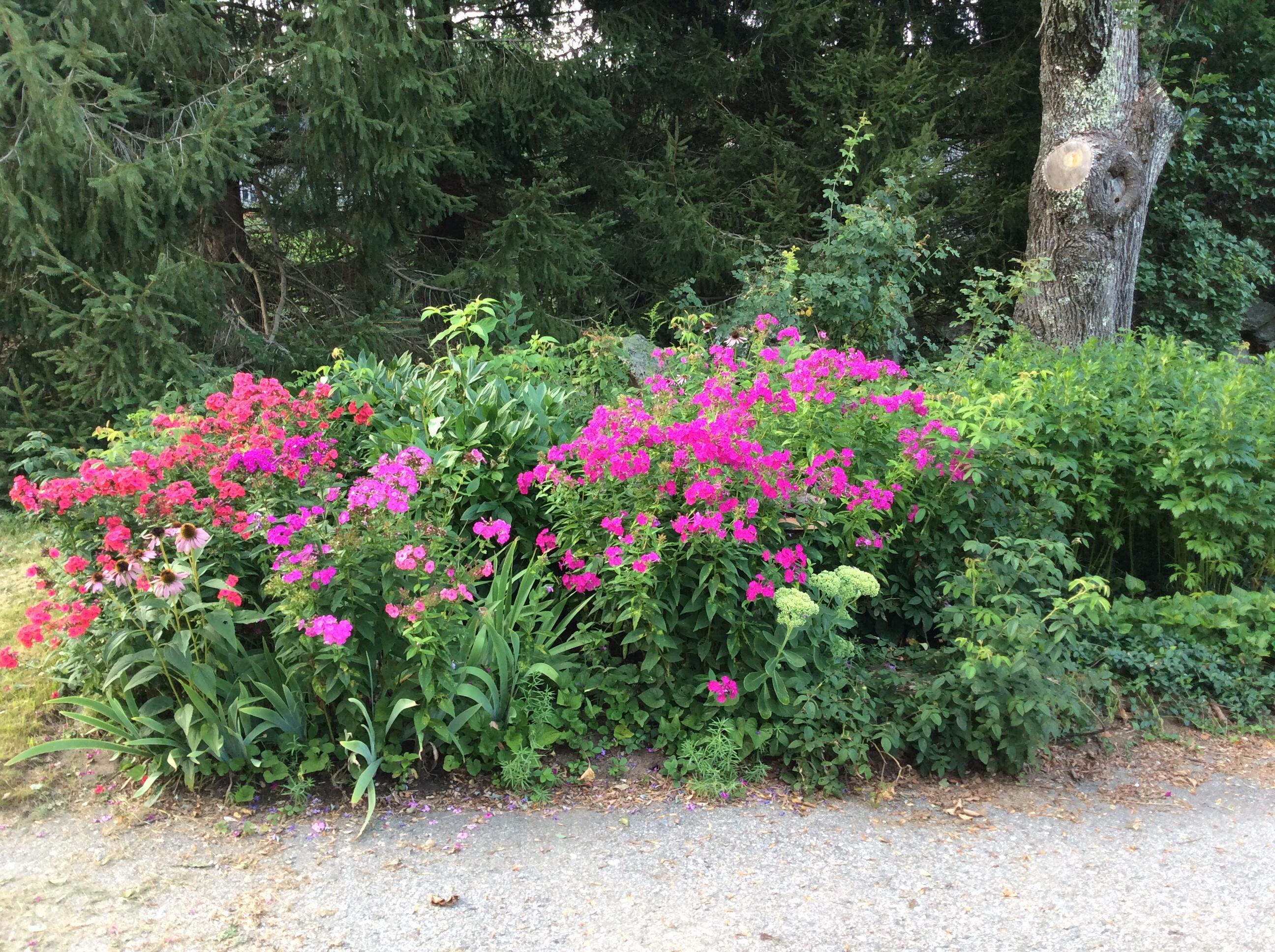 482 Back Road Shapleigh, ME 04076 - Photo 75 of 86 15