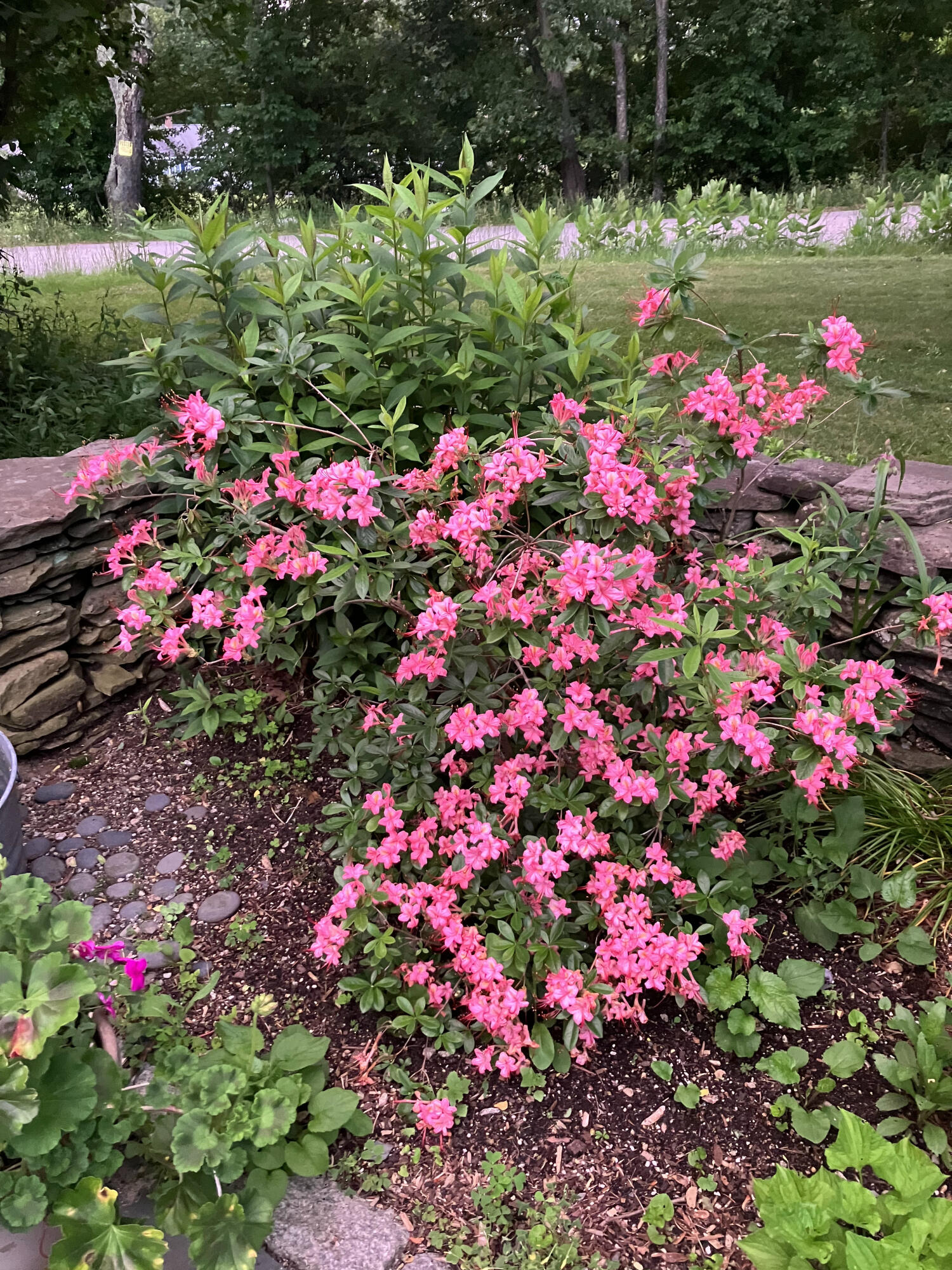 482 Back Road Shapleigh, ME 04076 - Photo 76 of 86 Summer 1