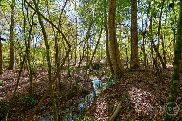 $353,000 | 1 Bridges Road, Carlton, GA 30627