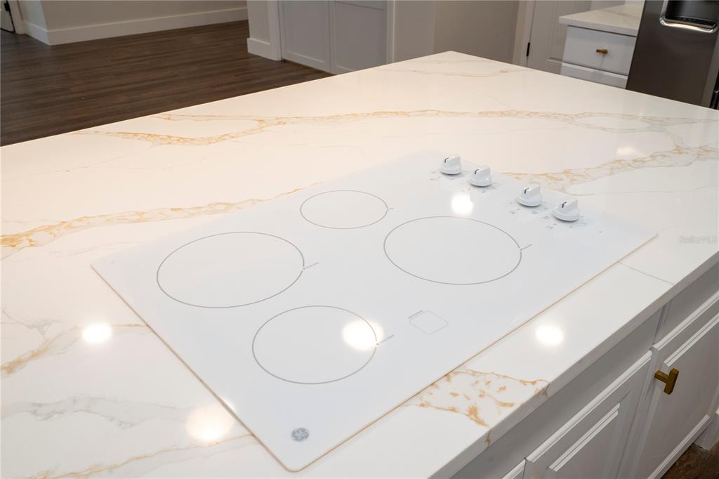 1124 Munster Street Orlando, FL 32803 - Photo 35 of 64