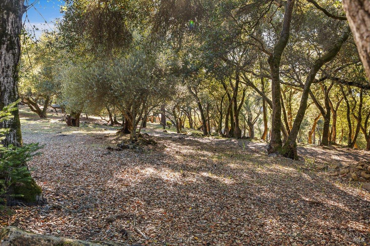 7061 Bennett Valley Road Santa Rosa, CA 95404 - Photo 41 of 55