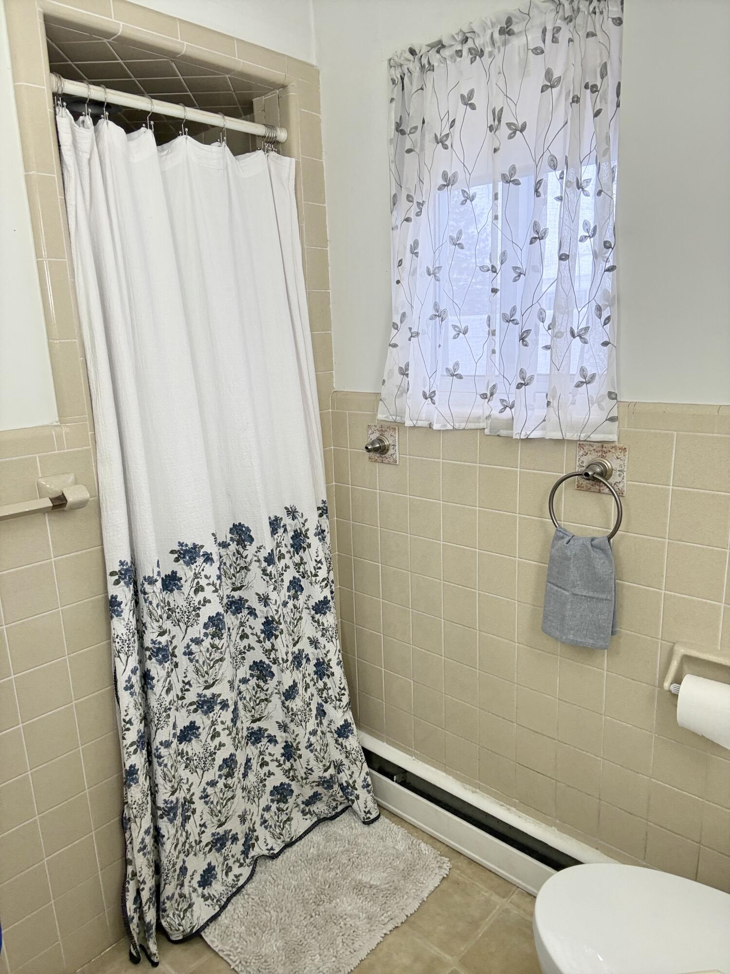Undisclosed Address Mount Pleasant, MI 48858 - Photo 23 of 50 Main bath shower