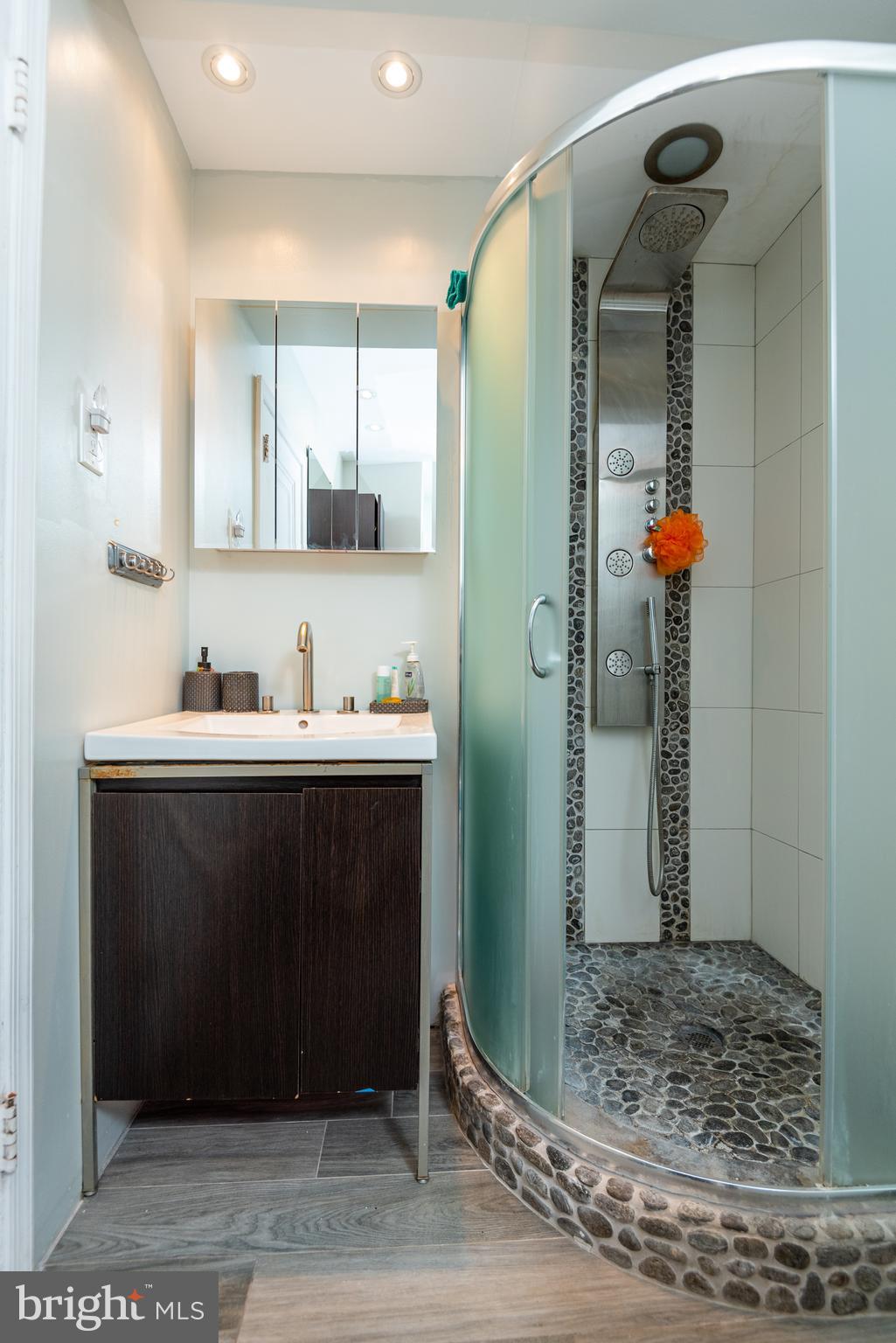 426 Glen Echo Road Philadelphia, PA 19119 - Photo 61 of 77 a bathroom with a sink a mirror and shower