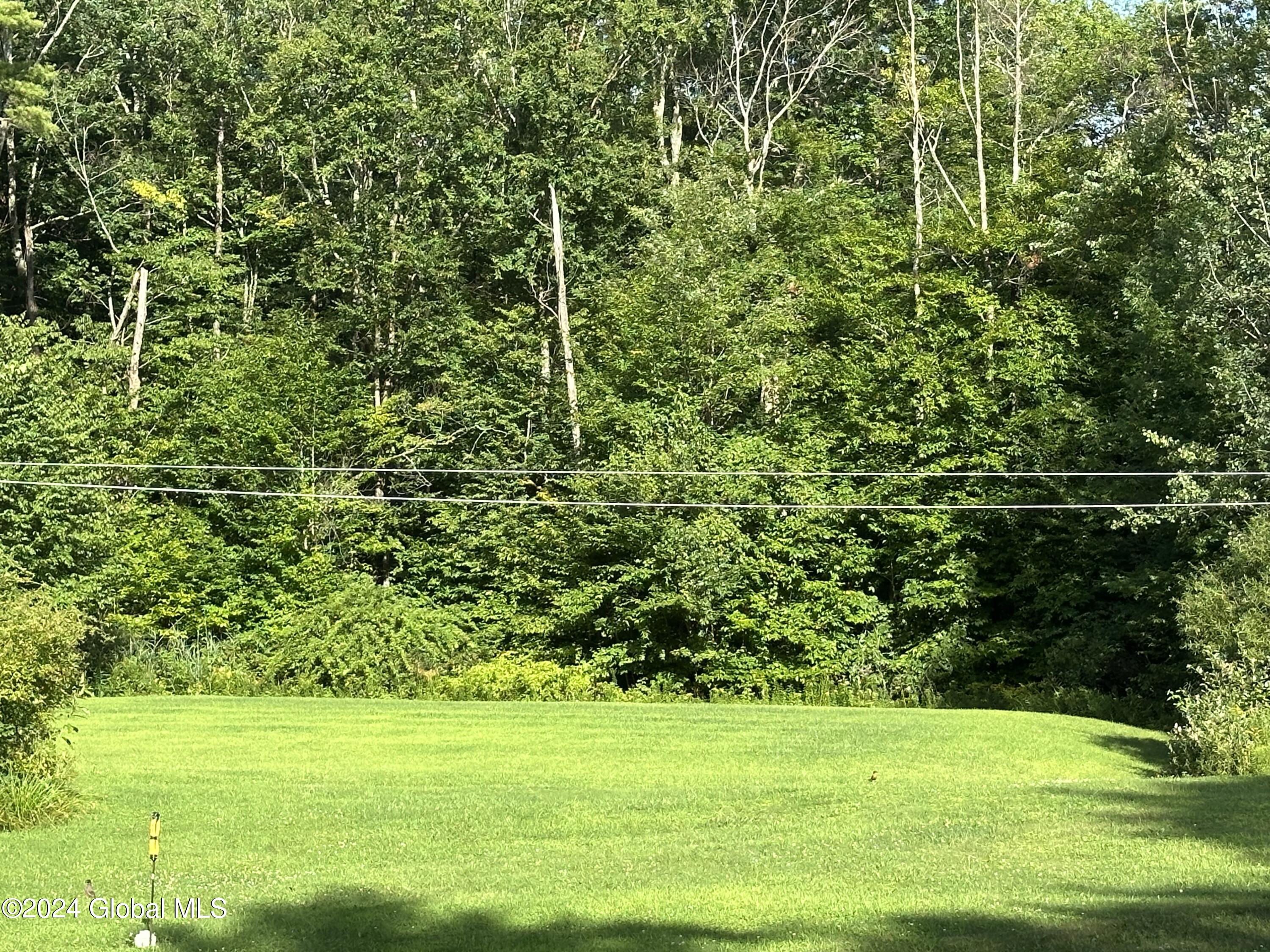 55 Knapps Road Stephentown, NY 12168 - Photo 46 of 49 Doug clothesline and yard