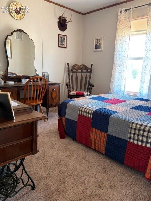 8084 Oak Drive Rye, CO 81069 - Photo 27 of 39 3rd back bedroom, carpeted