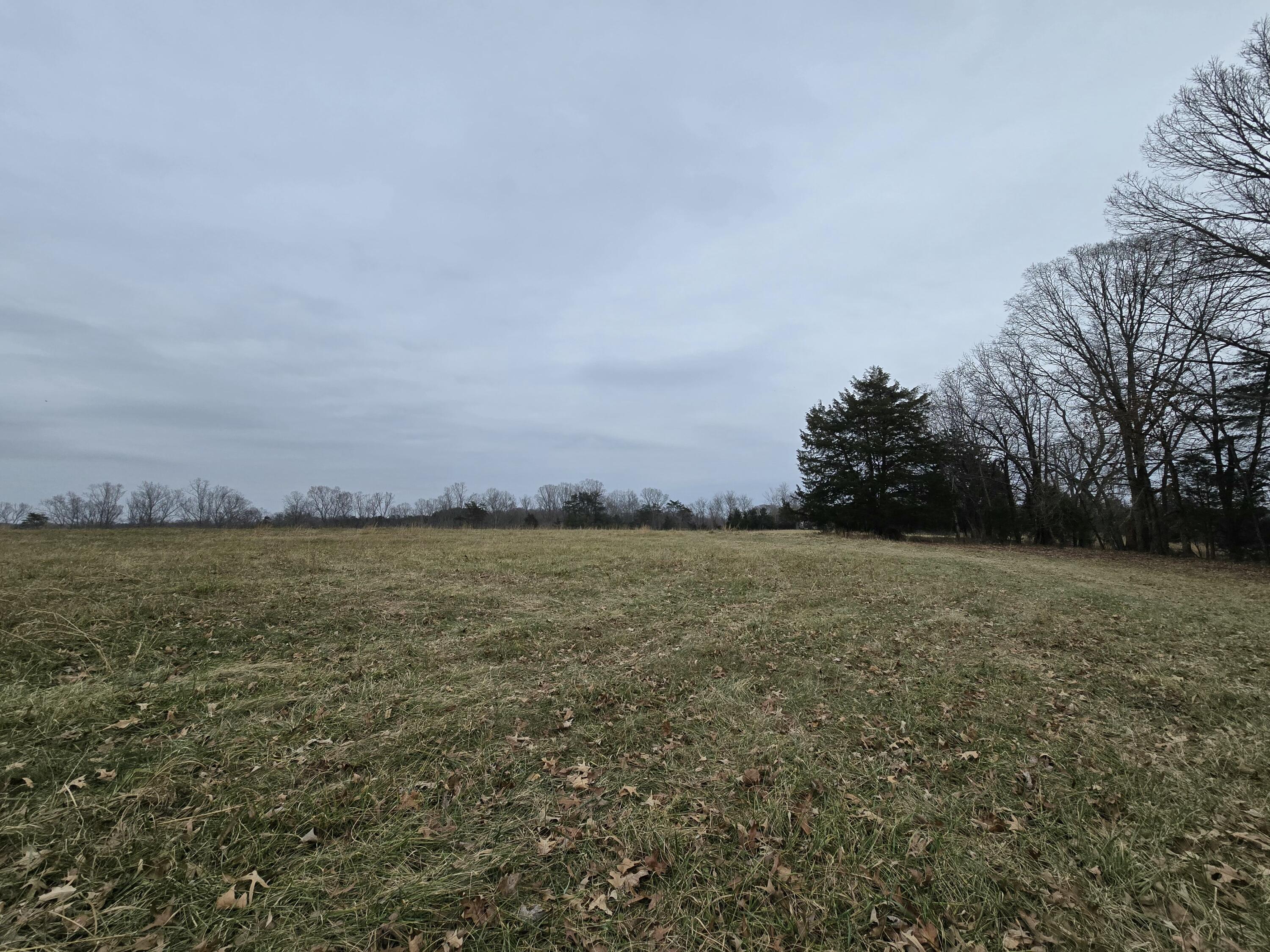 C Moneta Road Moneta, VA 24121 - Photo 1 of 1 tempImageXbxm9H