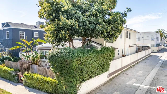a front view of a house with plants