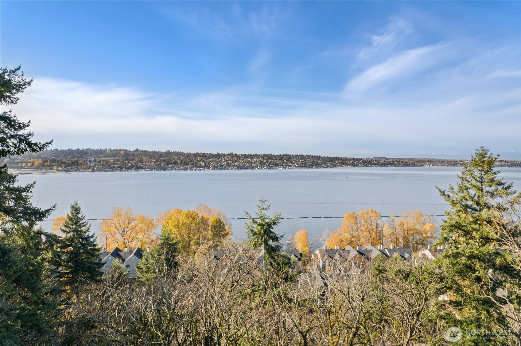 a view of a lake with a city