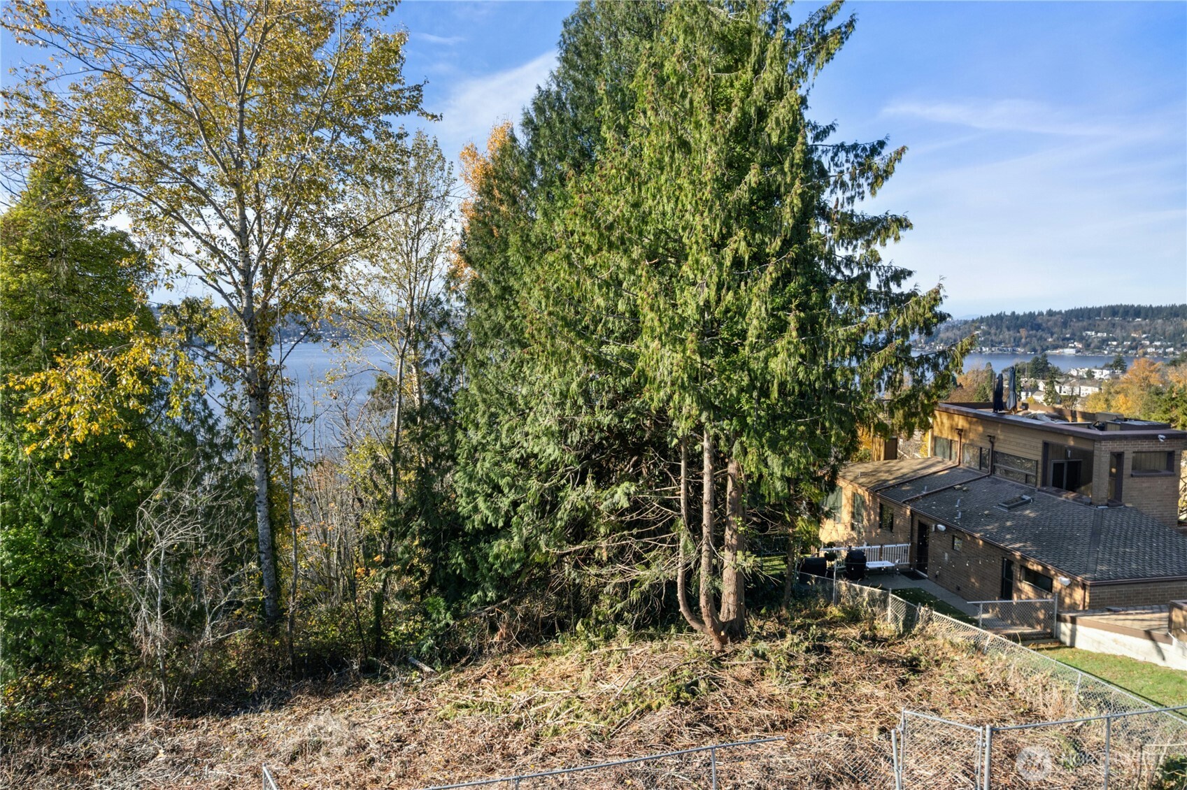 1409 North 24th Street Renton, WA 98056 - Photo 12 of 16 a view of a outdoor space with a tree