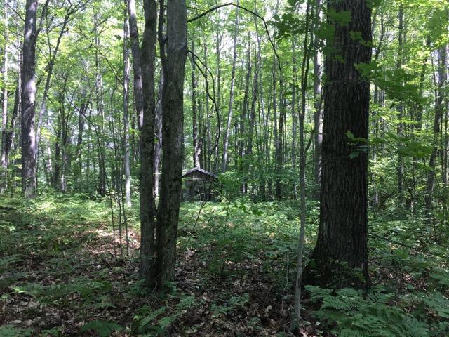 Tabitha Trail Mio, MI 48647 - Photo 6 of 22 Gallery Image 6