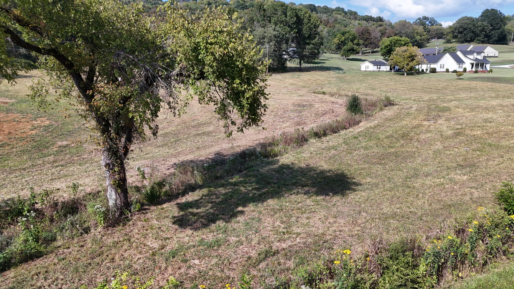 0 Massey Road Carthage, TN 37030 - Photo 22 of 31
