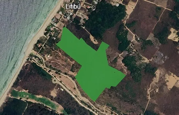 a view of a dry yard with lots of trees