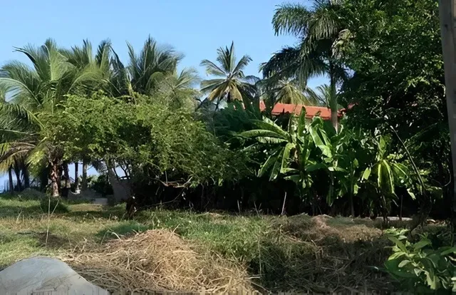 $50,000,000 | 123 Litibu - Riviera Nayarit, Bell City, OUTSIDE OF THE US 63735