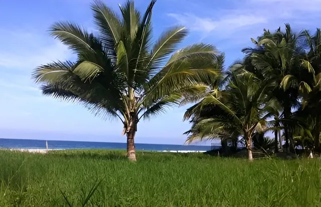 $50,000,000 | 123 Litibu - Riviera Nayarit, Bell City, OUTSIDE OF THE US 63735