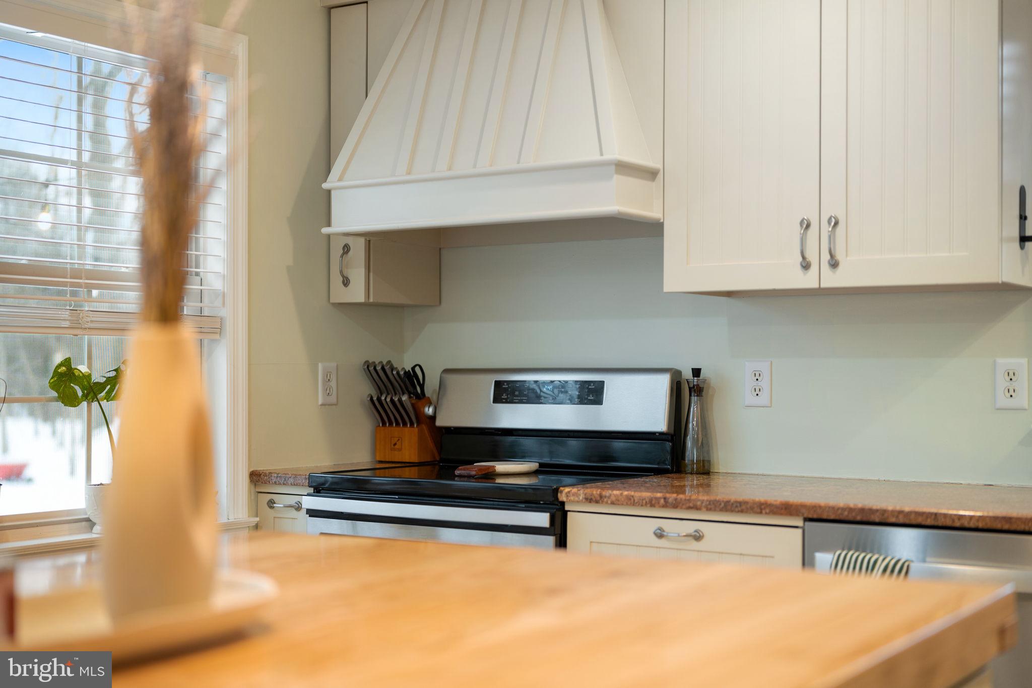 1924 Big Road Gilbertsville, PA 19525 - Photo 10 of 50 Stainless appliances in Kitchen