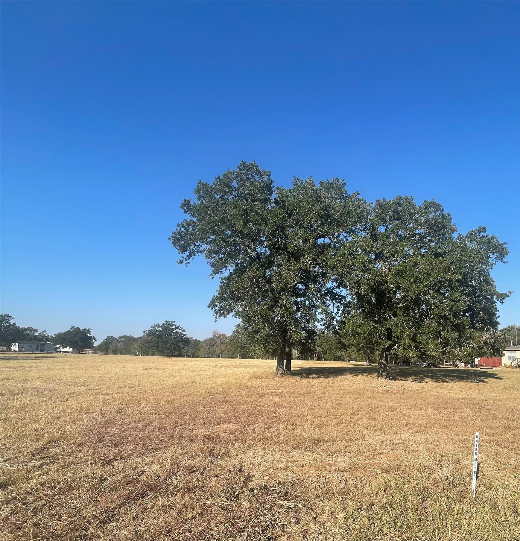 Tbd League Line Road Paige, TX 78659 - Photo 9 of 14 View of yard with a view of rural / pastoral area