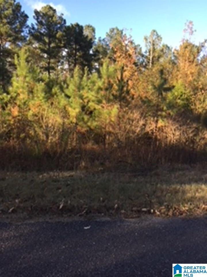 0 Jackson Trace Road, Unit 1 Lincoln, AL 35096 - Photo 1 of 5