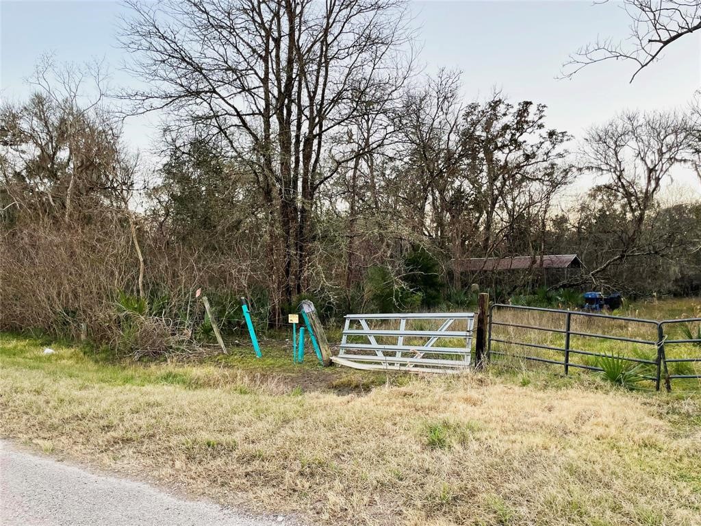 0 County Road 133 Sweeny, TX 77480 - Photo 5 of 7 a view of outdoor space with deck and trees