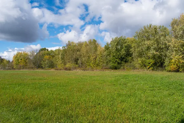 $29,900 | L5 Buttner Street, Mauston, WI 53948