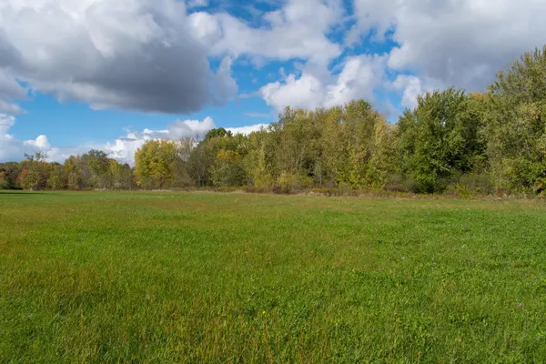 $29,900 | L5 Buttner Street, Mauston, WI 53948