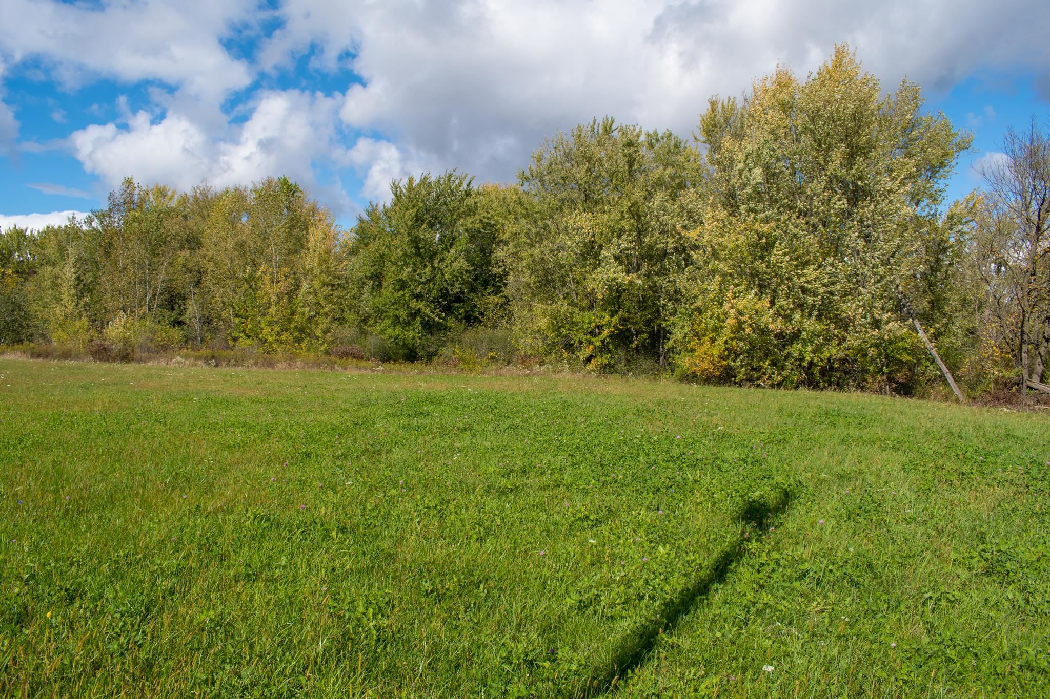 L5 Buttner Street Mauston, WI 53948 - Photo 10 of 14