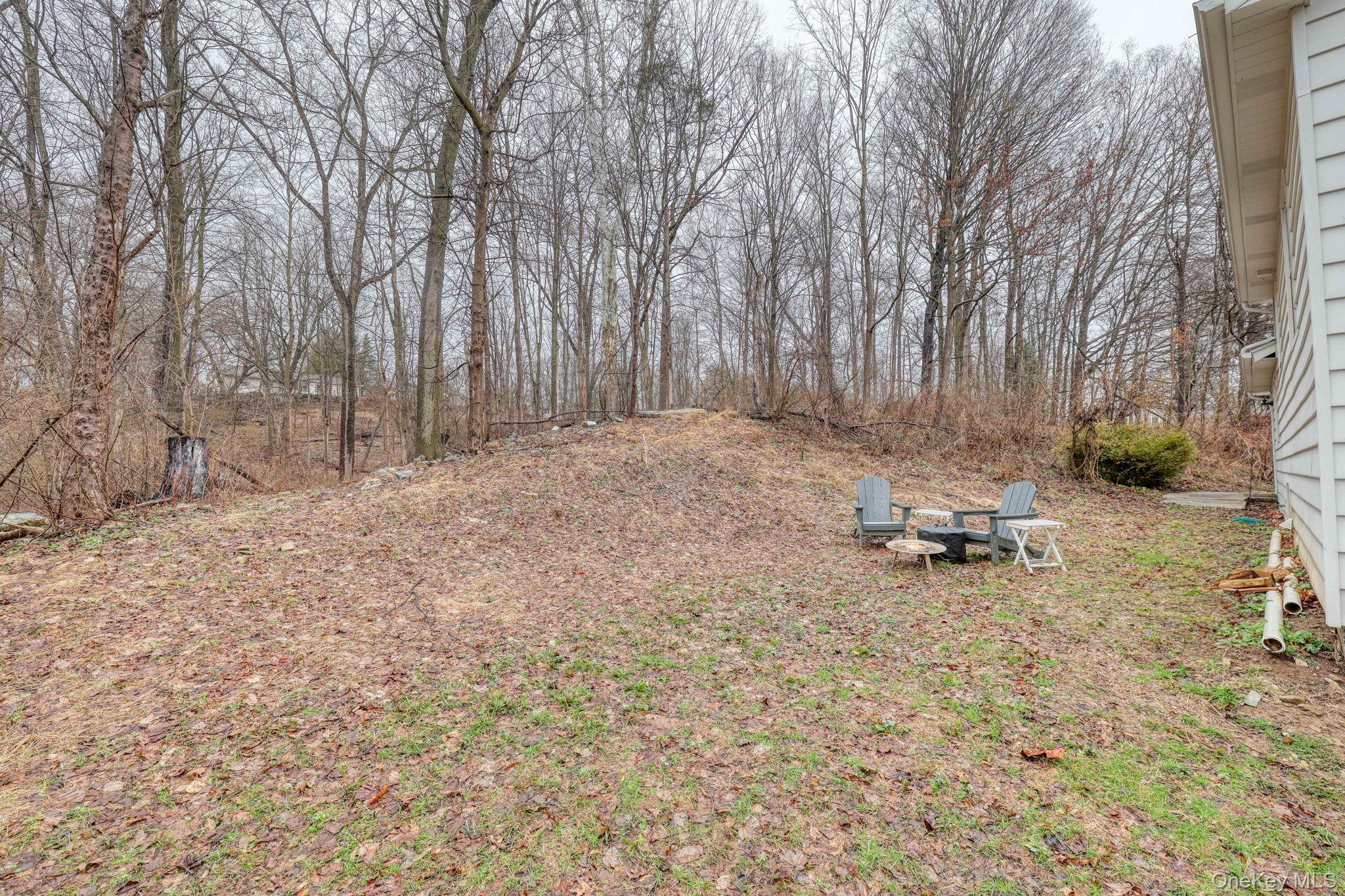 152 Sunrise Hill Road Fishkill, NY 12524 - Photo 16 of 18 .68 acre yard extending beyond the rear of home