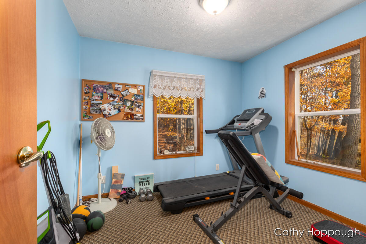3494 Bradford Road Ionia, MI 48846 - Photo 20 of 48
