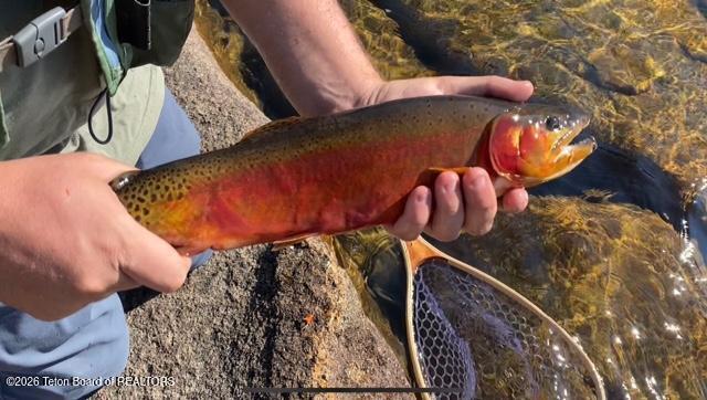 338 South Gas Hills Road Riverton, WY 82501 - Photo 29 of 34 fish 12