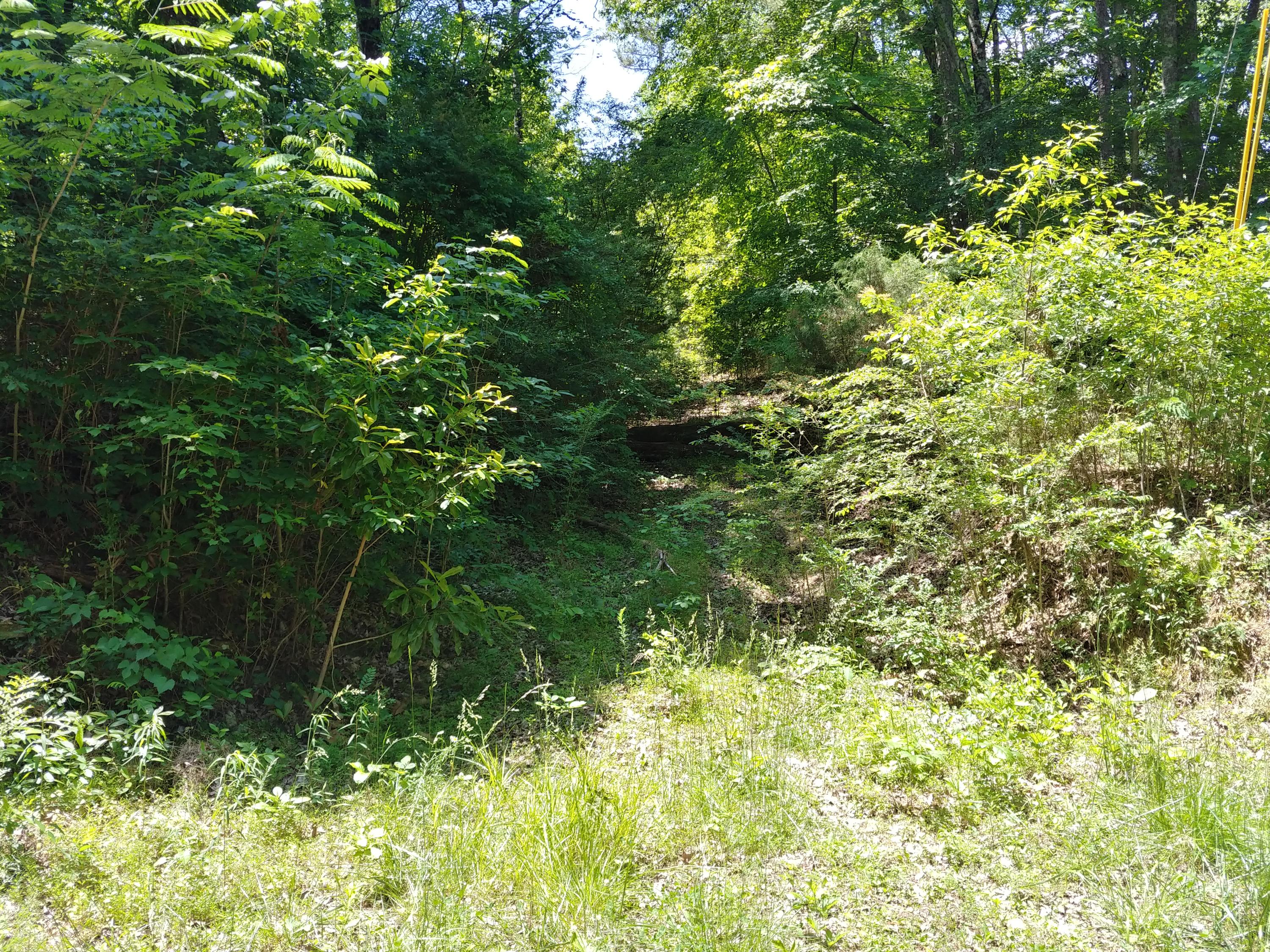 1100 Peters Road Soddy Daisy, TN 37379 - Photo 13 of 16 20190522_140407_HDR