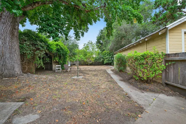 a view of a backyard with potted plants and large trees
