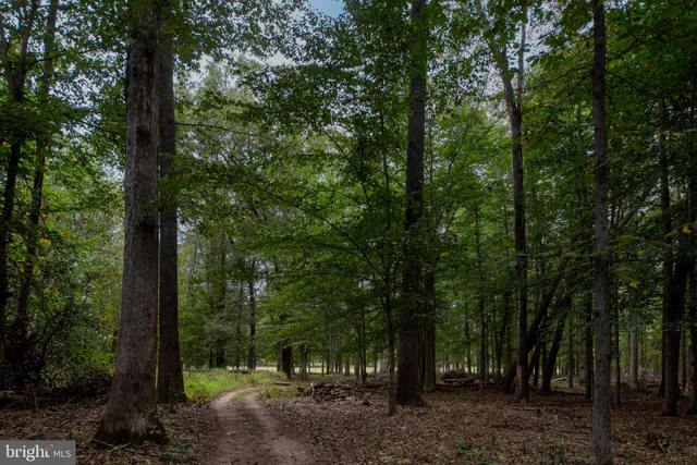 $975,000 | 11497 Yeats Drive, Catlett, VA 20119