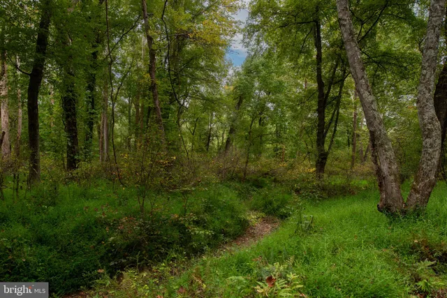 $975,000 | 11497 Yeats Drive, Catlett, VA 20119