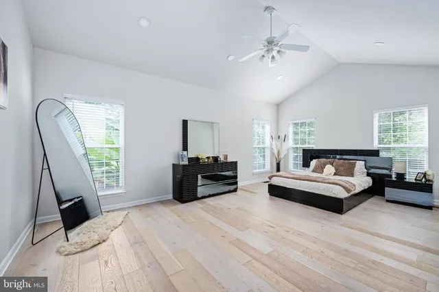 a view of a forest that has large trees