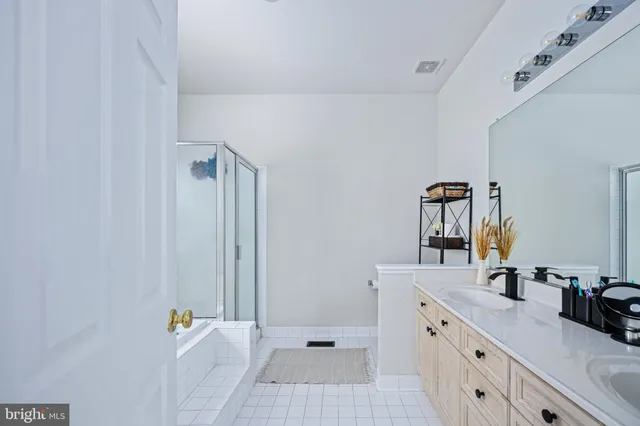 a view of a forest with trees