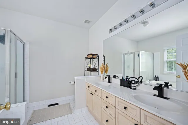 a view of a forest with trees